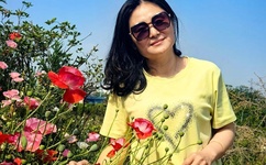 斗战神官网下载